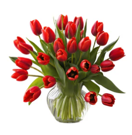 Fresh red tulips in a clear glass vase