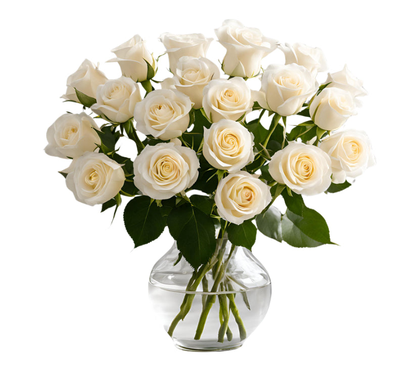 Pure White Rose Bouquet