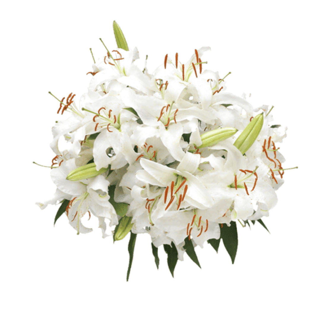 Lilies