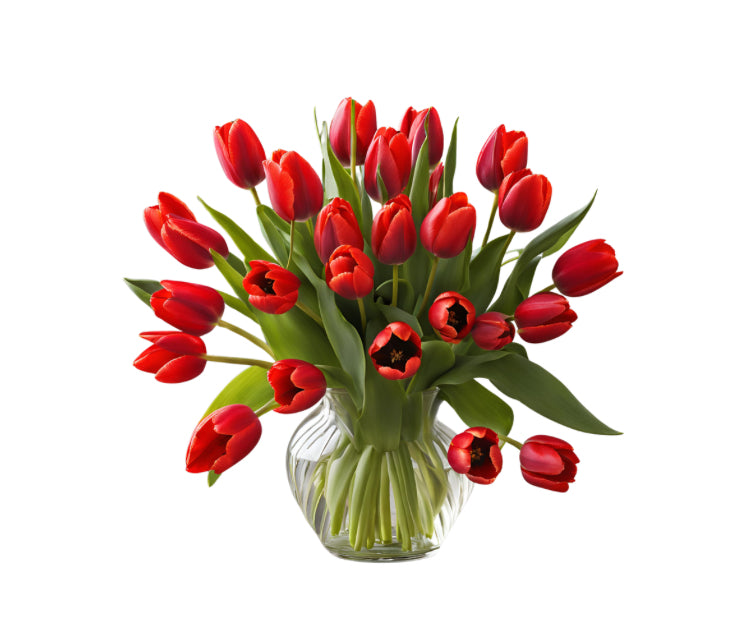 Tulips