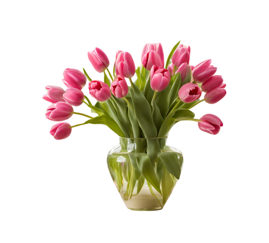 Tulips
