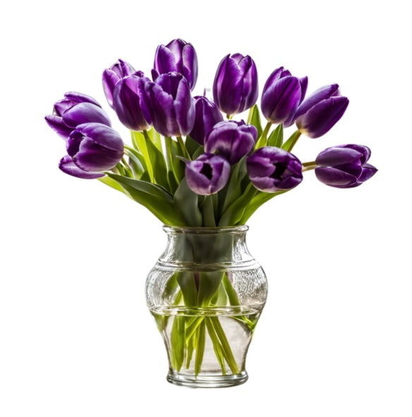 Tulips